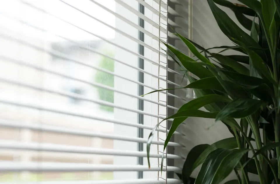 Műanyag redőny javítás nappaliban, budapesti referencia modern beltéri megoldással, növénnyel az ablak mellett.